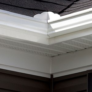 T-Rex Water Deflectors